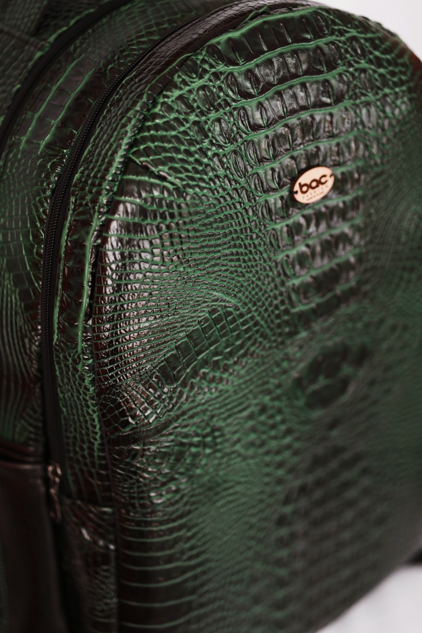 Alligator BACPAC